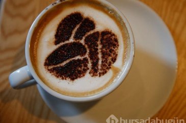 Kahve içmek için 5 neden!
