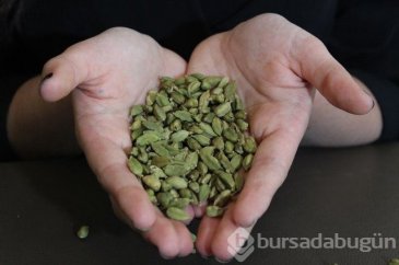 Kakulenin faydaları
