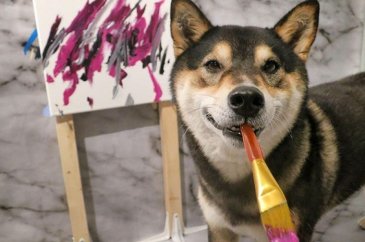 Ressam köpeğin resimleri satışta (Instagram'ın sıra dışı fenomenleri)