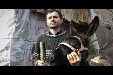 Eşeği yanağını parçaladı! Tek isteği estetik ameliyat olmak
