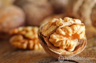 Cevizin bir faydası daha ortaya çıktı!