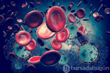 Beynin önemli gıdası glukoz! Dondurma, pekmez, hurma ve incir tüket...
