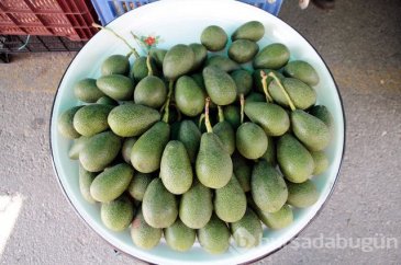 Kalp sağlığı için her gün 1 avokado!
