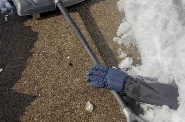 Günün en çok paylaşılan fotoğrafları (17.01.2019)