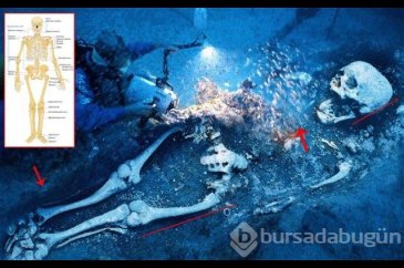 İnternette her gördüğünüze inanmayın!