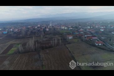Yabancı uzmanlar Vezirköprü kenevirini yerinde inceledi
