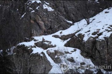 Kar dağ keçilerinin yaşamını da olumsuz etkiliyor

