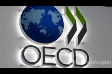  OECD'den "antibiyotiklere dirençli bakteri" uyarısı (Türkiye riskl...