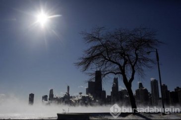 ABD'de soğuk hava dalgası: 7 ölü