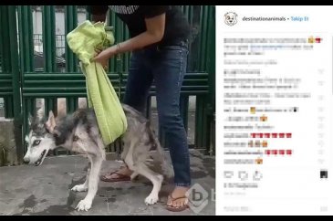 Değişimi şaşırttı

