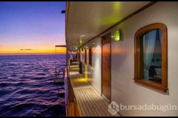 Grace Kelly'nin yatıyla Darwin'in izinde Galapagos Adaları (Balayı ...