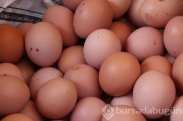 Yumurta kabuğunu fırına koyun sonra da fırında pişirin!

