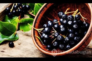 Aronia meyvesinin faydaları nelerdir