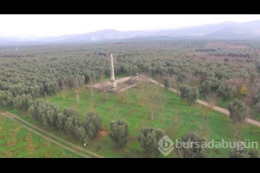 Defineciler 2 bin 500 yıllık Dikilitaş'ın çevresini delik deşik etti
