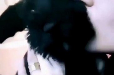 Tuba Büyüküstün'ün sevgilisi Umut Evirgen'den ayrılık iddialarına y...