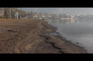Marmaris'teki korkutan görüntüye açıklama geldi
