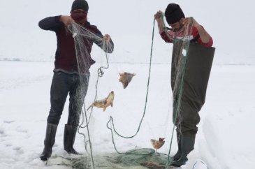 Bitlis'te donan gölde balık avı