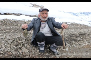 12 yıl sonra mezarlarına ulaştılar
