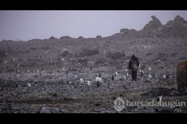 Antarktika Türk bilim insanlarına "laboratuvar" oldu
