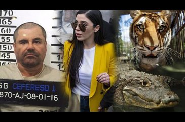 El Chapo davasında ortaya çıkan 14 rahatsız edici gerçek