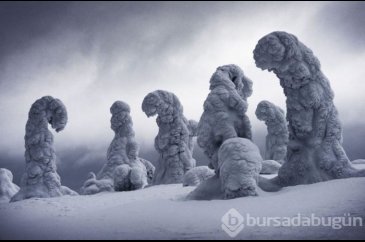 2018'in en iyi manzara fotoğrafları