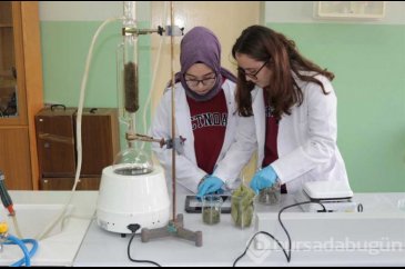 Defneyaprağı, adaçayı ve biberiyeden plastik ürettiler
