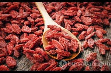 Kendisi küçük, faydası büyük meyve goji berry
