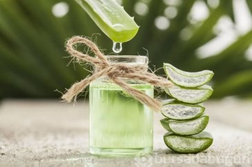 Mucize bitki aloe vera her derde deva oluyor
