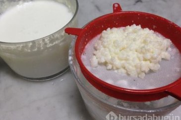 Uzun yaşamın anahtarı kefir nedir ve nasıl yapılır?

