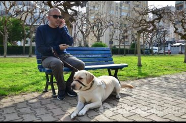 "Bobby" görme engelli gazinin hayatını değiştirdi

