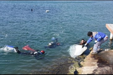 Bodrum'da denizden yatak da çıktı halı da
