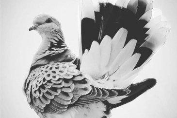 Instagram'da ünlüler (6-7 Mart 2019)