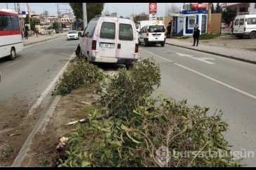 Ağaçları devirdi, aydınlatma direğine çarparak durabildi: 1 yaralı
