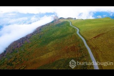 Karadeniz'de yolculuk yeşile dönüyor (Yeşil yol projesi)