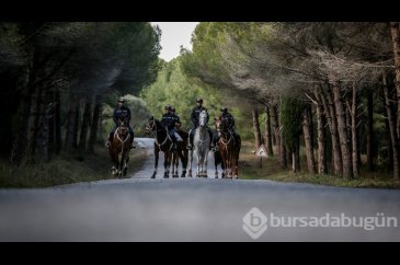 Tarihi Yarımada atlı birliklere emanet
