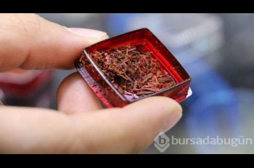 Dünyanın en kaliteli safranı Türkiye'de üretiliyor! Kilosu 30 bin TL
