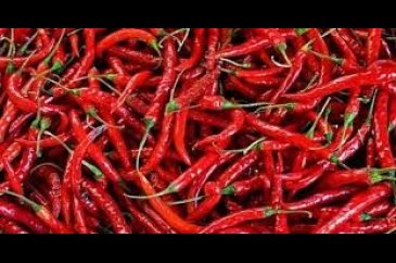 Acı biberin en acı kısmı neresidir?
