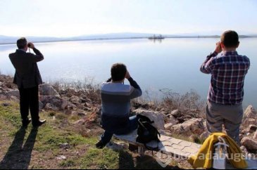Suların yükseldiği gölün ilk konukları geldi
