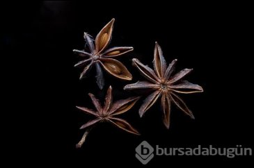 Kokusuyla ünlü bu bitki her derde deva
