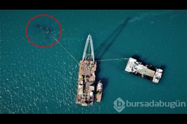 Zeytinburnu sahilindeki batık gemi için dev vinç kuruldu
