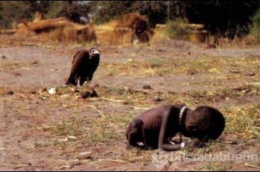 Muhabirin çektiği bu fotoğraf sonu oldu! ruh sağlığı bozuldu intiha...