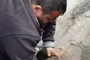 Helal olsun! Köpeği kalp masajı ve suni teneffüs yaparak hayata dön...