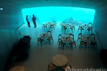 Avrupa'nın ilk denizaltı restoranı Norveç'te açıldı
