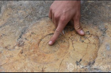 Adıyaman'da 65 milyon yıllık olduğu düşünülen salyangoz fosili bulundu