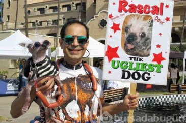 Dünyanın en çirkin köpeği: Rascal

