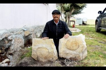 65 milyon yıllık dev fosil duvardan söküldü
