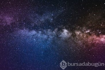 NASA 2 ay boyunca yatacak gönüllüler arıyor (Maaşı 100 bin TL)
