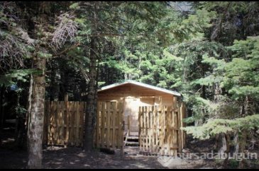 Uludağ'da doğayla başbaşa günlüğü 25 TL'ye tatil