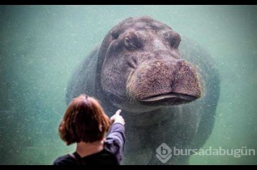 Günün en çok paylaşılan fotoğrafları (29.03.2019)