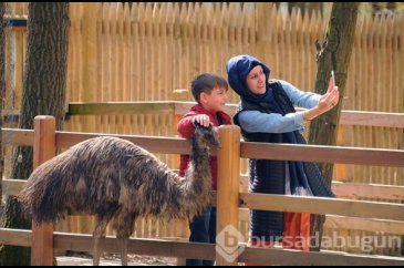 'Birkaç kez görmüştüm ama ilk defa bu kadar yaklaştım'
